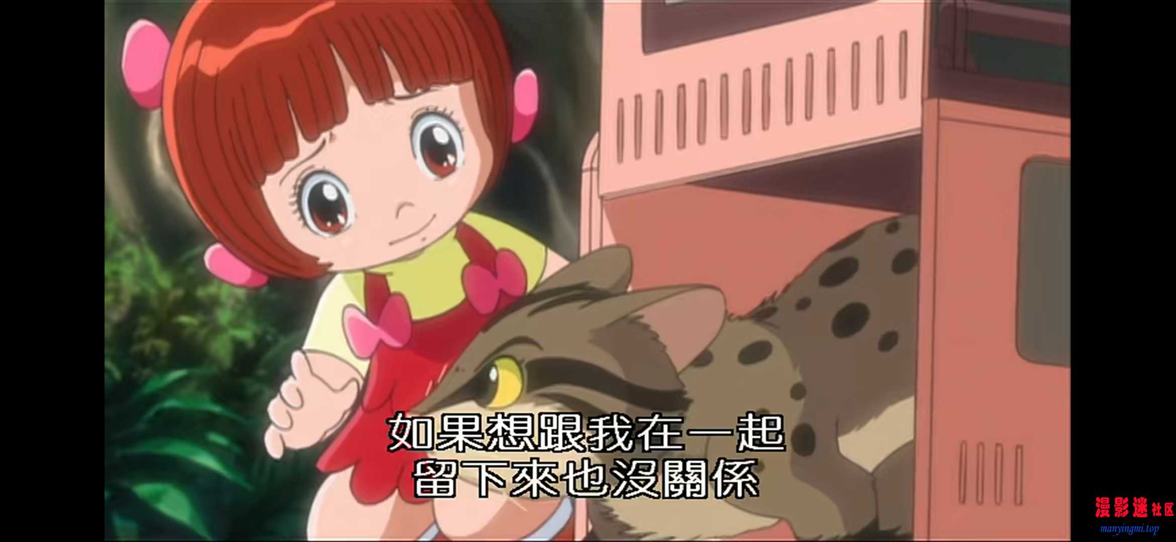 00-手術的順序.flv20260702-101346.jpg